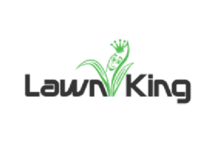 kldfg-1774020917926-4907233d
